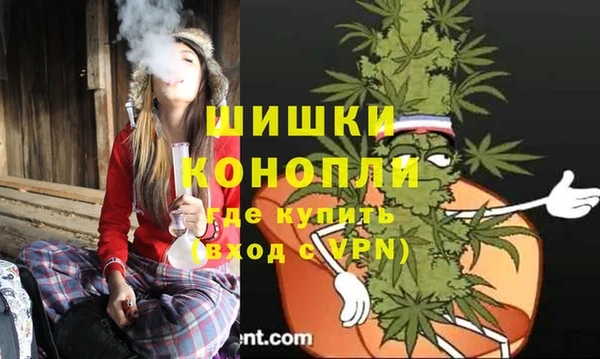 прущие грибы Аркадак