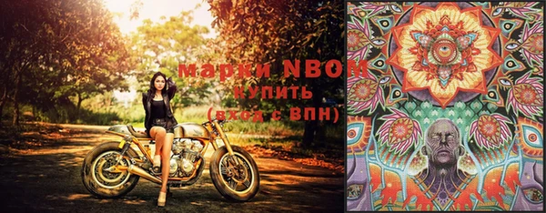 прущие грибы Аркадак