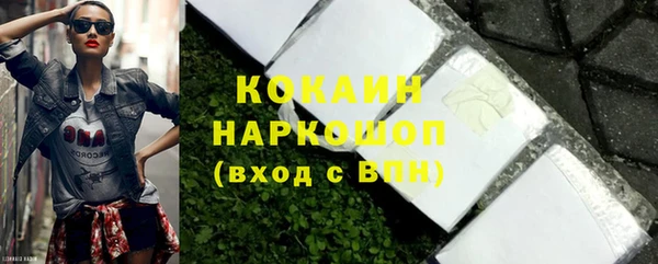 прущие грибы Аркадак