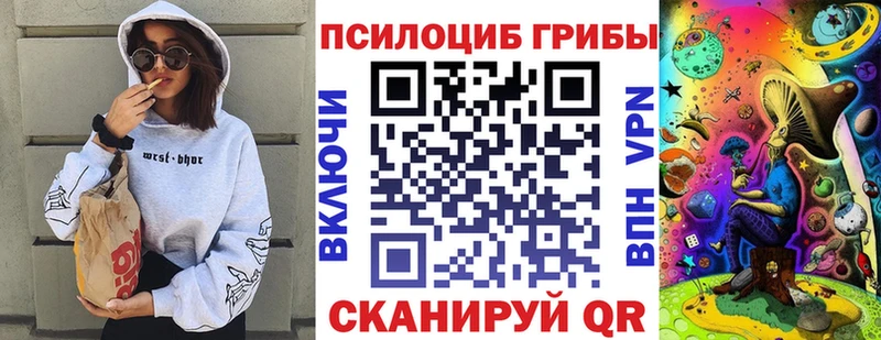 Псилоцибиновые грибы Psilocybe Очёр