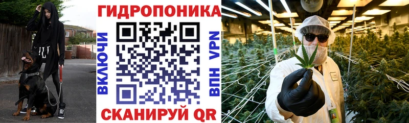 Шишки марихуана Bruce Banner  Очёр 
